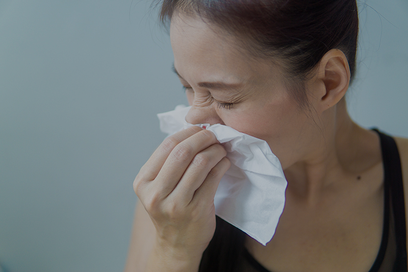 Approach to Patients with Allergic Rhinitis: Testing and Treatment